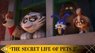 The voices behind Secret Life of Pets 2