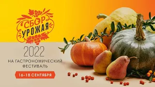 Гастрономический фестиваль "Сбор урожая" 2022 год