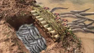 🔴Unbelievable Fishing Style!Unique Fish Trapping System Using Bamboo | Skills Catching Fish