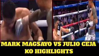 Mark Magsayo vs Julio Ceja KO Highlights !!!