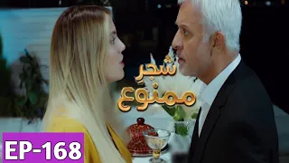 Shajar-e-Mamnu Episode 168 Promo | Turkish Drama | Forbidden Fruit | Urdu Dubb| 31July 2021 | Part-2