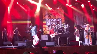 Buju Banton & Marcia Griffiths @ Reggae Geel, Belgium