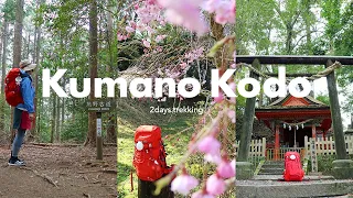 🇯🇵Kumano Kodo | Another Camino de Santiago [Would Heritage]