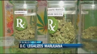 Recreational Pot Use Now Legal in Washington D.C.