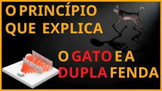 SUPERPOSIÇÃO QUÂNTICA – O princípio que explica o GATO de Schrödinger e a DUPLA FENDA