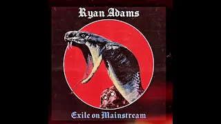 Ryan Adams - Turd On The Run (Rolling Stones cover)