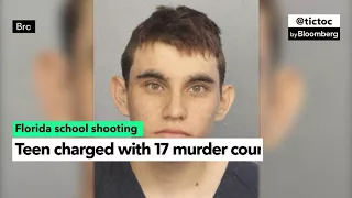 Florida Teen Charged With 17 Murders After School Shooting