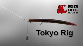 How To Tokyo Rig