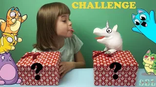 ЗАМЕНА ЧЕЛЛЕНДЖ СЮРПРИЗЫ в ТАЙНЫХ КОРОБОЧКАХ MYSTERY BOX SWITCH UP CHALLENGE