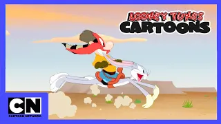 Zwariowane Melodie | Porażka w Oregonie | Cartoon Network