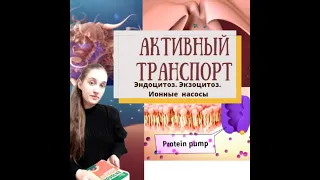 Активный транспорт. Эндоцитоз ( Фагоцитоз. Пиноцитоз). Экзоцитоз. Ионные насосы.