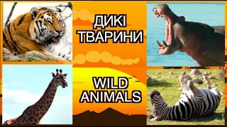 ДИКІ ТВАРИНИ для дітей. Звуки, голоси, цікаві факти. Wild animals. Тімака розвиваючі мультики.