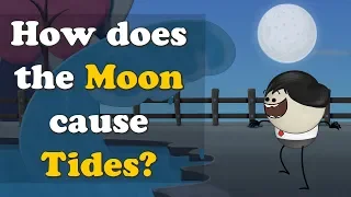 How does the Moon cause Tides? + more videos | #aumsum #kids #science #education #children