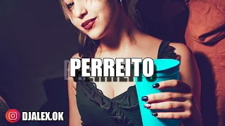 PERREITO REMIX - MARIAH ✘ DJ ALEX [FIESTERO REMIX]