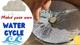 Water cycle experiment for kids | Evaporation | Condensation | Precipitation