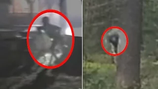 5 Mysterious Creatures Caught in the Woods