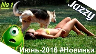 ЛУЧШИЕ ПРИКОЛЫ 2016 Июнь | Юмор лучшее | THE BEST JOKES | jokes collection |