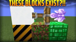 How to get HIDDEN & ILLEGAL BLOCKS in 1.17 Minecraft