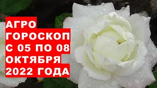 Агрогороскоп с 05 по 08 октября 2022 года