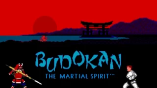 Budokan   The Martial Spirit  SEGA Genesis