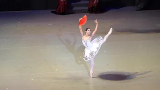 Maria Khoreva-Don Quixote act 3 variation