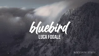 Bluebird — Luca Fogale [lyrics video | sub español]