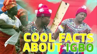 Top 5 coolest facts about the Igbo people | Legit TV