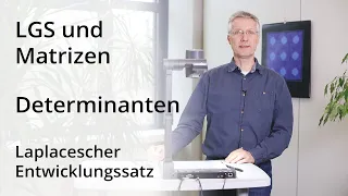 LGS und Matrizen - Determinante: Laplacescher Entwicklungssatz