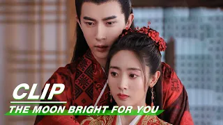 Clip: Lin Fang And Zhan Qinghong Get Married | The Moon Brightens for You EP28 | 明月曾照江东寒 | iQIYI