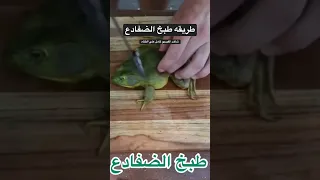 طريقه طبخ الضفادع-Frog Dish