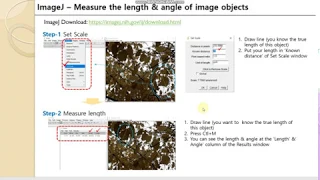 ImageJ manual - how to measure the length and angle from the image