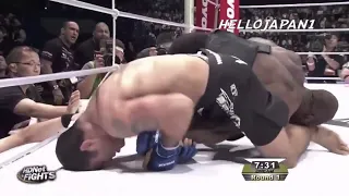 Paulo Filho MMA Highlight