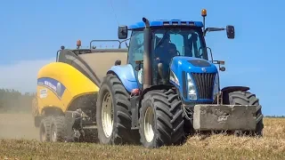 New Holland TG285 + Big Baler 1290 | Bálázás 2019 | Stroh Pressen