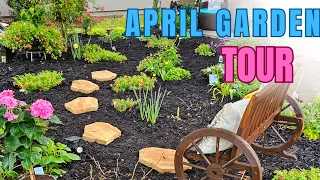 Garden Tour - April 2024 🌺💕 Zone 9 Florida 🌱💚 Farrah's Garden Diary