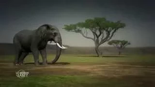 Le Monde de Jamy - Au cœur de la Faune Sauvage - Extrait - Les Eléphants du Parc d'Amboseli