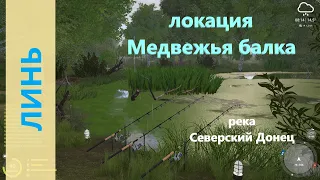 Русская рыбалка 4 - река Северский Донец - Линь в болоте