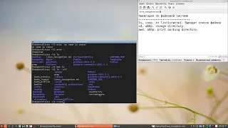 Основные команды Linux. Навигация, справка, просмотр списка файлов в Linux.