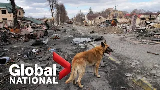 Global National: April 4, 2022 | Russia accused of killing civilians as mass graves found in Bucha