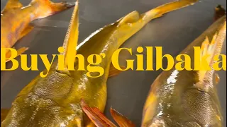 Purchasing Gilbaka in Guyana