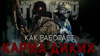 КАРМА ДИКИХ ● КАК ЭТО РАБОТАЕТ ● РЕПУТАЦИЯ У СКУПЩИКА ESCAPE FROM TARKOV