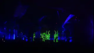 boom festival 2018 part 3