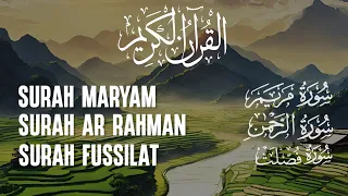 Surah Maryam, Ar Rahman, Fussilat Dengan Suara Indah Membuat Hati Tenang