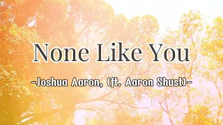 None Like You, Joshua Aaron  (ft. Aaron Shust), (with lyrics)