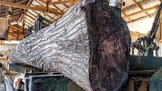 The most satisfying sawmill - sawing acacia wood