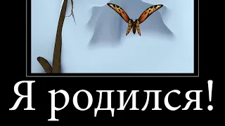 МУД БАРБОСКИНЫ (Аномалия) ДЕМОТИВАТОР 41