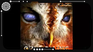 La P'tite Fumée - Owl Rising (Full Album) [Live Trance Band]