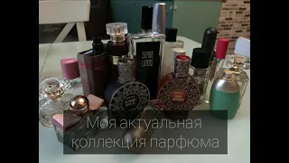 Моя актуальная коллекция парфюма. Начинающий парфманьяк на связи