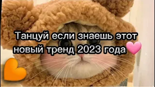 Танцуй если знаешь этот тренд 2023 | Лучшие Тренды ТикТока 🎶