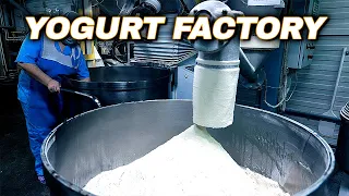 How Yogurt Is Made - Yogurt Production Line | Yogurt Factory