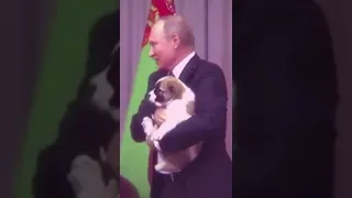 ❤️‍🔥Путин краш❤️‍🔥